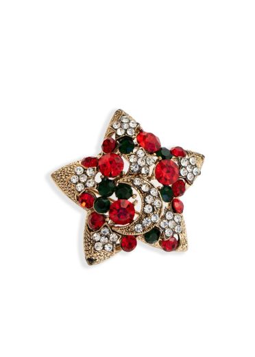 Silver & Ruby Christmas Star Brooch