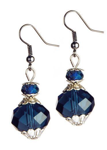 Navy Crystal Earrings
