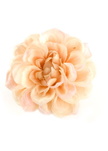 Apricot Dahlia Corsage & Hairclip