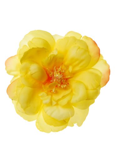 Lemon Rose Hairclip & Corsage