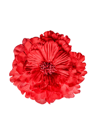 Red Satin Rose