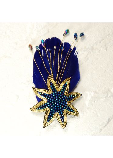 Sapphire Star Clip