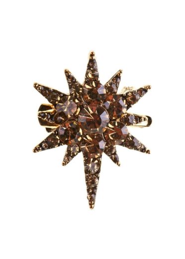 Gold Crystal Star Hairclip and Brooch