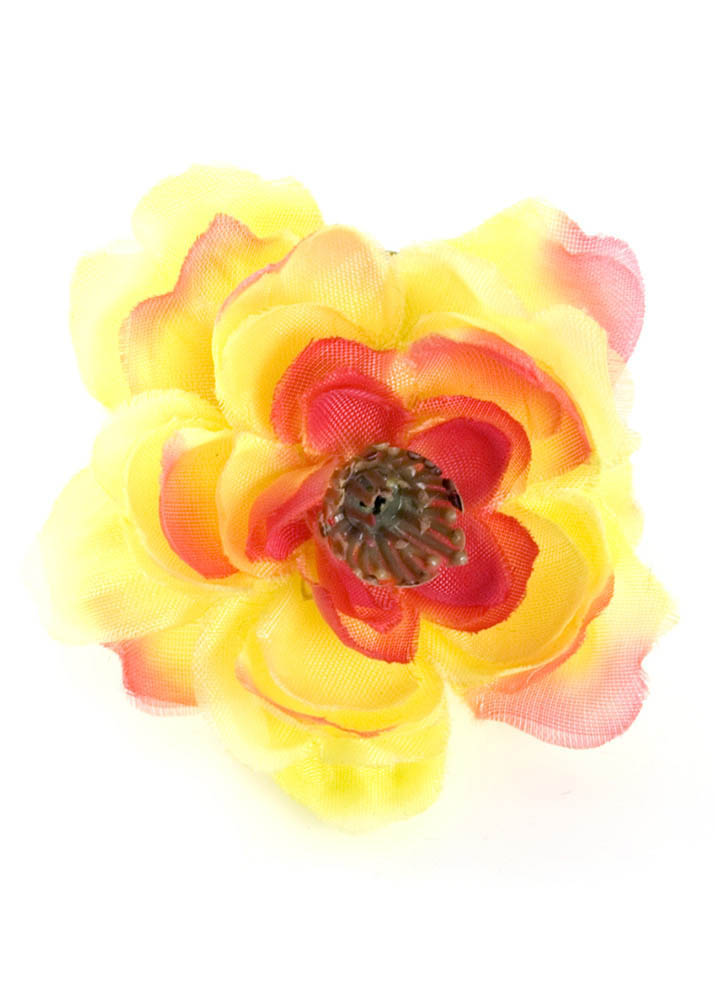 Sunrise Cherry Blossom